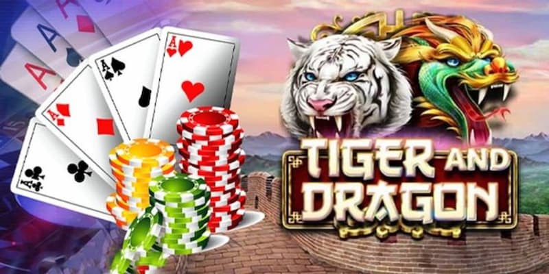 rổng hổ 28BET